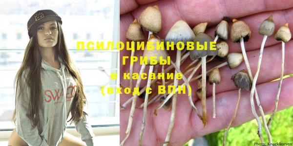 винт Аркадак