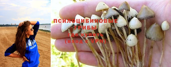 Альфа ПВП Армянск